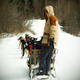 Illustration for article titled Where the Dogs Are: A Dogsledding Photo Diary